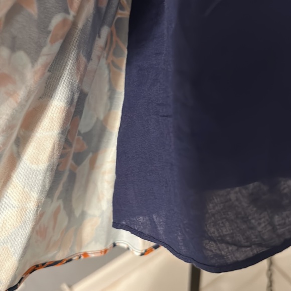 Amur - Picture 11 of 14